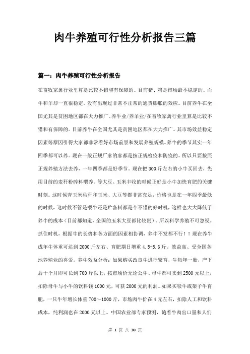 肉牛养殖可行性分析报告三篇