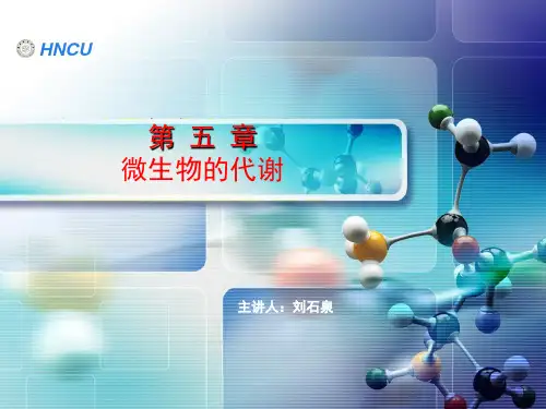 第五章微生物的代谢