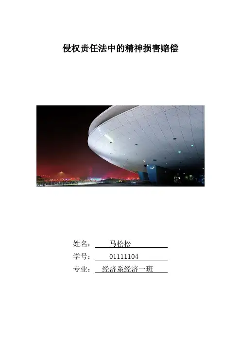 侵权责任法中的精神损害赔偿