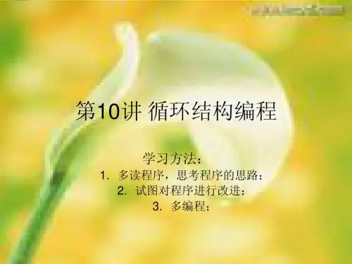 第10讲-循环编程
