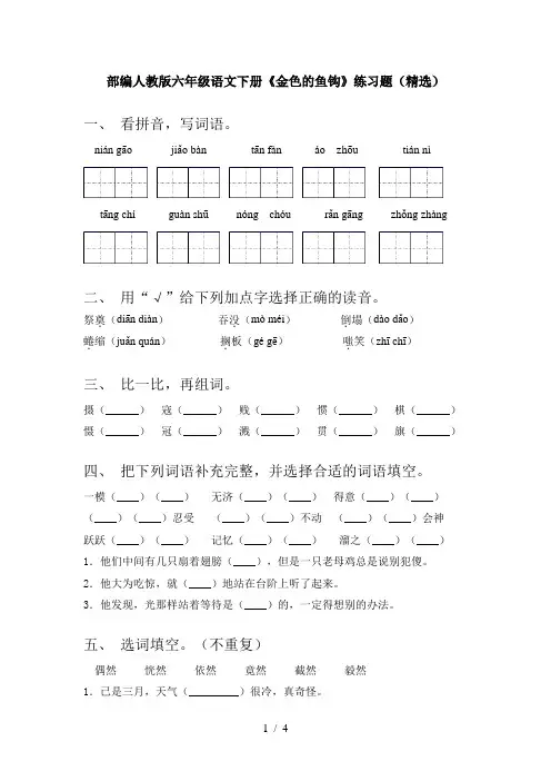 部编人教版六年级语文下册《金色的鱼钩》练习题(精选)