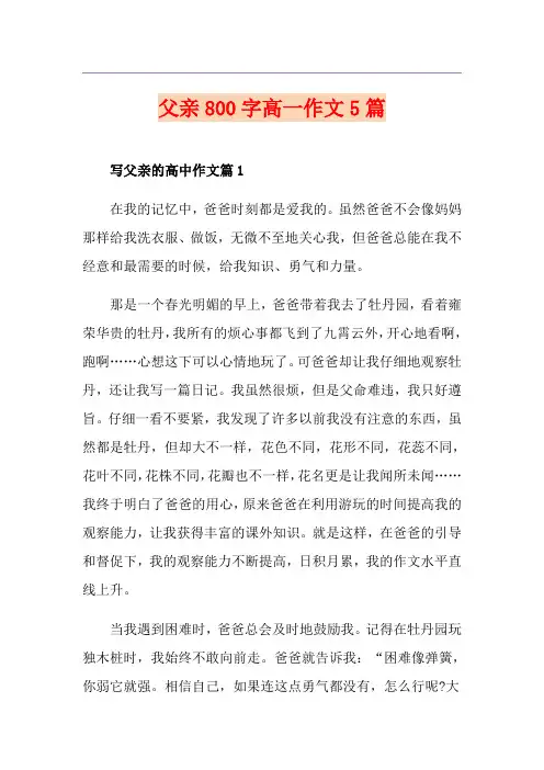 父亲800字高一作文5篇