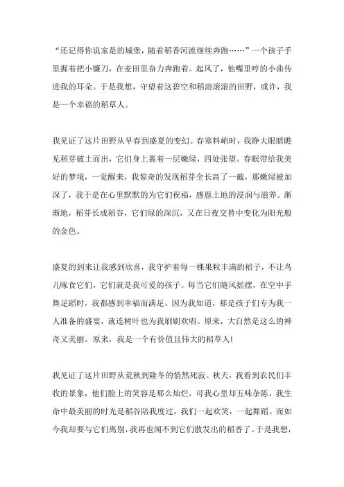 中考满分作文范文：我是一个稻草人