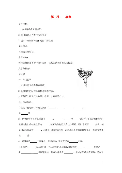 八年级生物上册5.4.3真菌 导学案2 新版新人教版