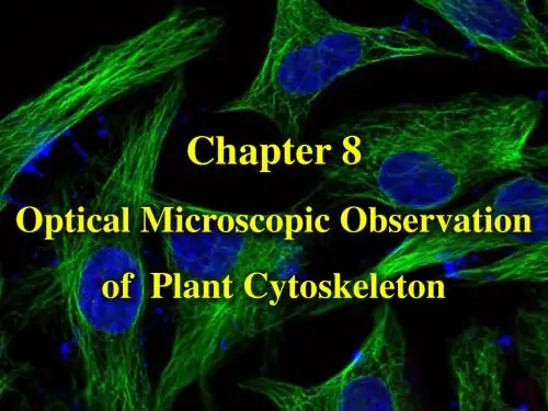 Chapter 8 Optical Microscopic Observation of Plant Cytoskeleton