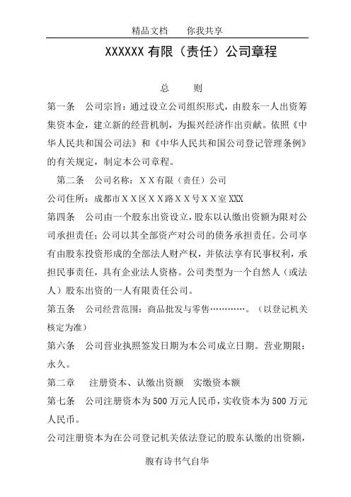 一人有限公司章程(执行董事)