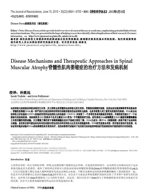 《脊髓性肌萎缩的发病机制及治疗方法》-孙致远
