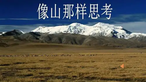 《像山那样思考》
