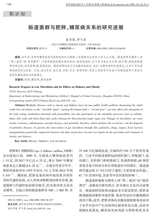 肠道菌群与肥胖、糖尿病关系的研究进展