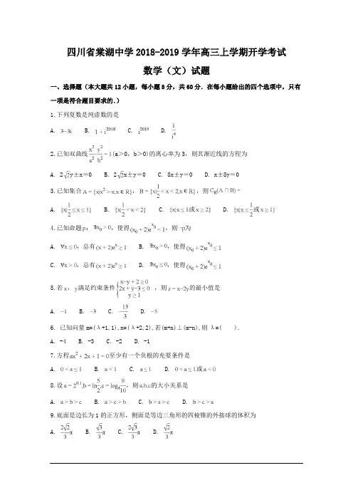 四川省棠湖中学2019届高三上学期开学考试数学(文科)试题及答案