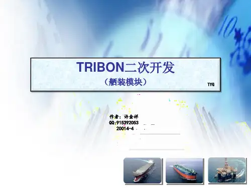 TRIBON二次开发 舾装 二次开发及生产设计应用