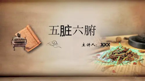 中医五脏六腑ppt课件