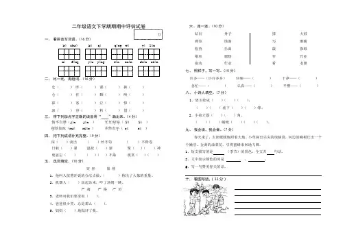 西师大版二年级语文下册期中试卷