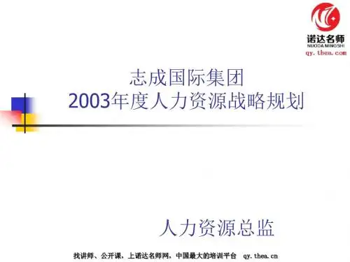 年度人力资源战略规划