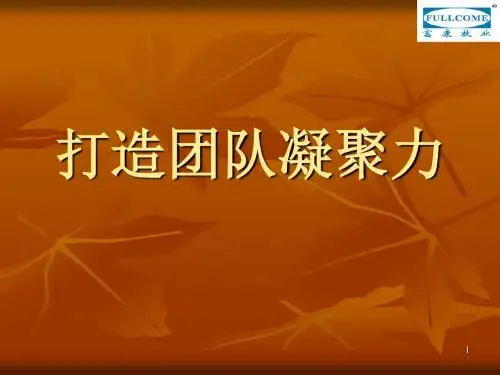 团队凝聚力培训