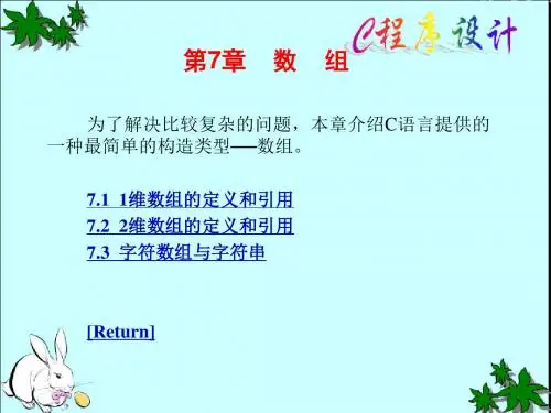 C语言第07章-文档资料