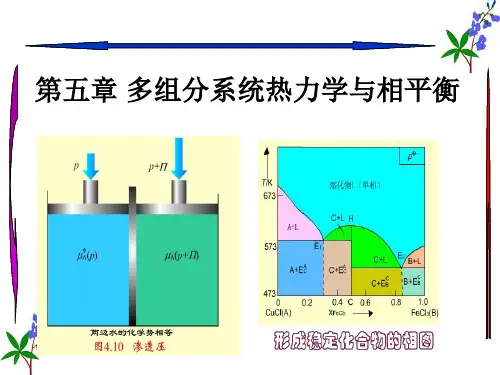 多组分系统热力学与相平衡