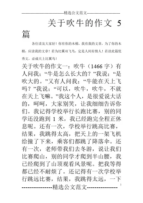 关于吹牛的作文5篇