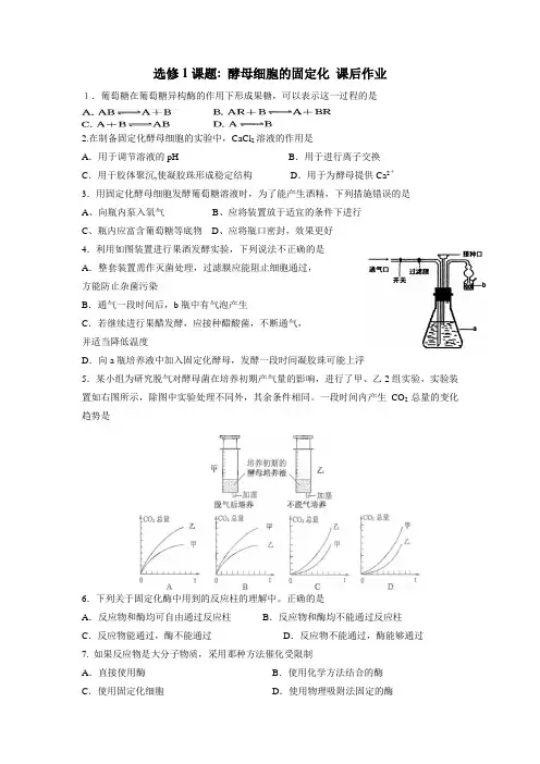 高中生物人教版选修一课后作业：4.3酵母细胞的固定化(无答案)