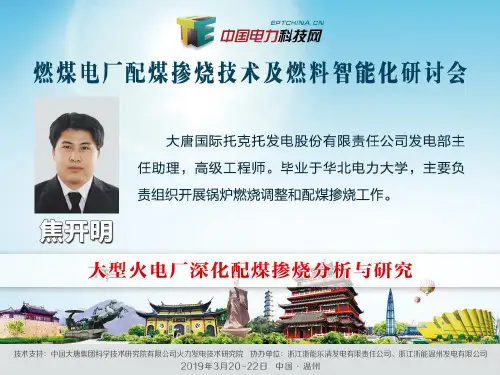 焦开明-大型火力发电厂深化配煤掺烧的分析与研究