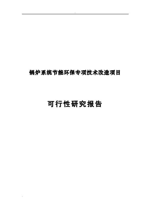锅炉系统节能环保专项技术改造项目可行性研究报告