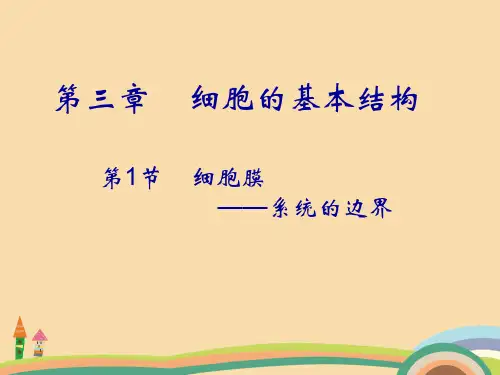 高二生物细胞膜PPT教学课件