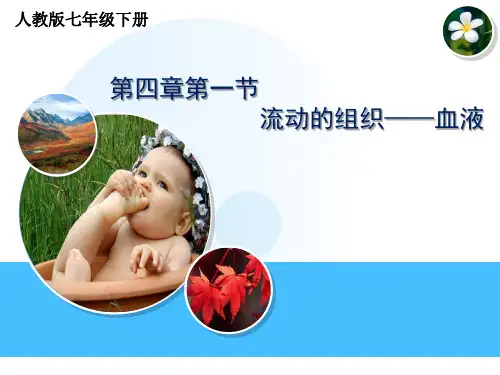 初中生物_第四章第一节血液教学课件设计