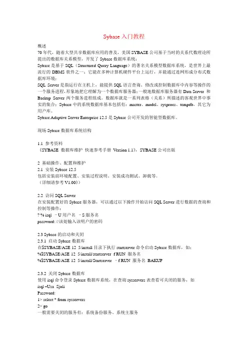 sybase入门教程