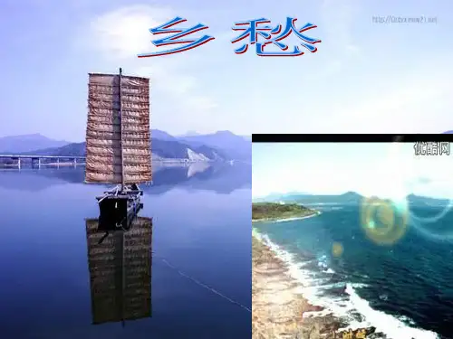 六年级语文失根的兰花