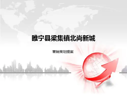 睢宁县梁集镇北尚新城解析
