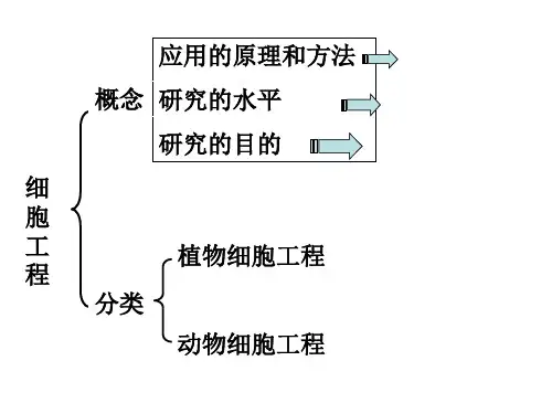 细胞工程复习
