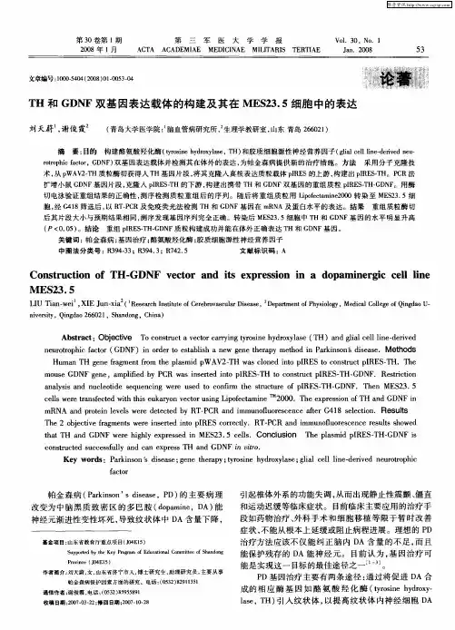 TH和GDNF双基因表达载体的构建及其在MES23.5细胞中的表达
