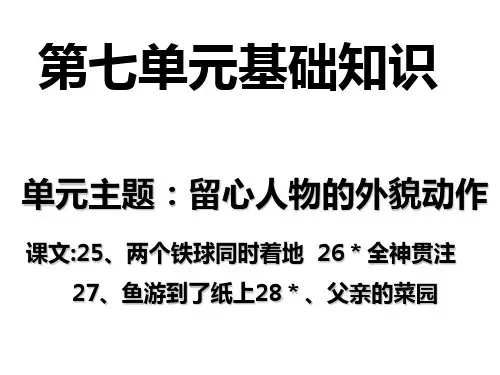 第七单元基础知识解析