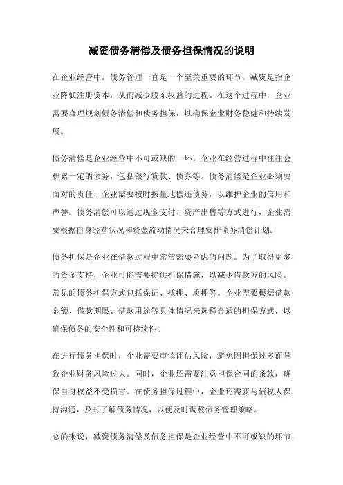 减资债务清偿及债务担保情况的说明