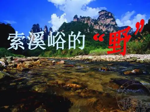 4、索溪峪的野(实用版)