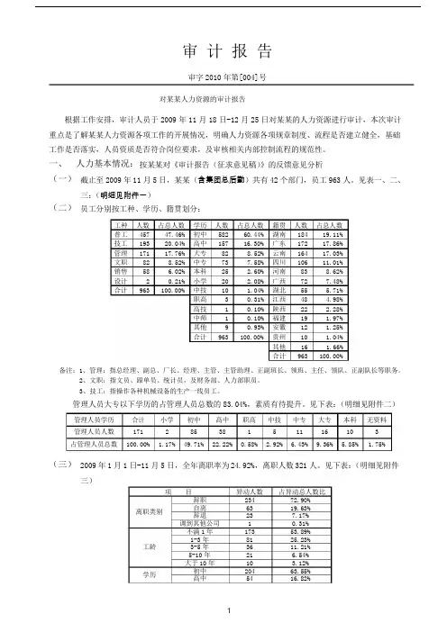 人力资源审计报告(定稿)