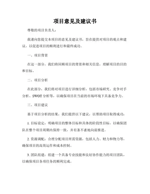 项目意见及建议书