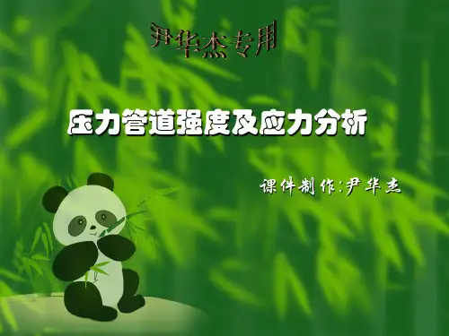 压力管道强度及应力分析