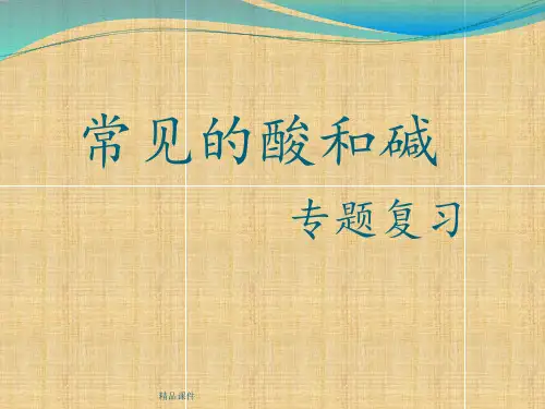 初三化学酸碱盐ppt课件