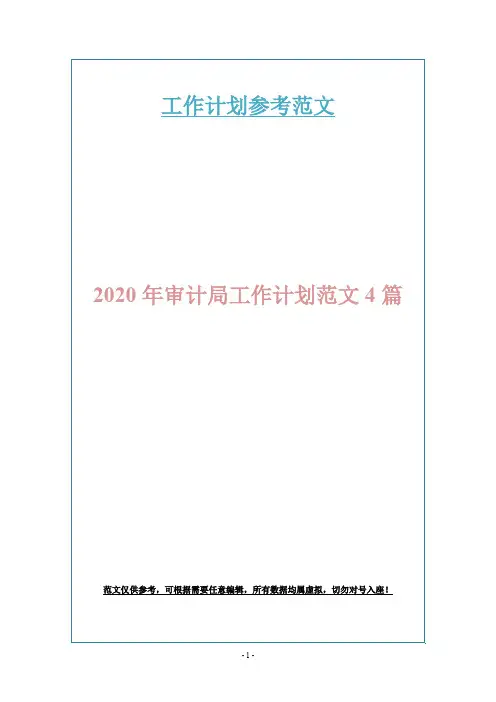 2020年审计局工作计划范文4篇