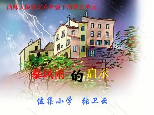 暴风雨的启示
