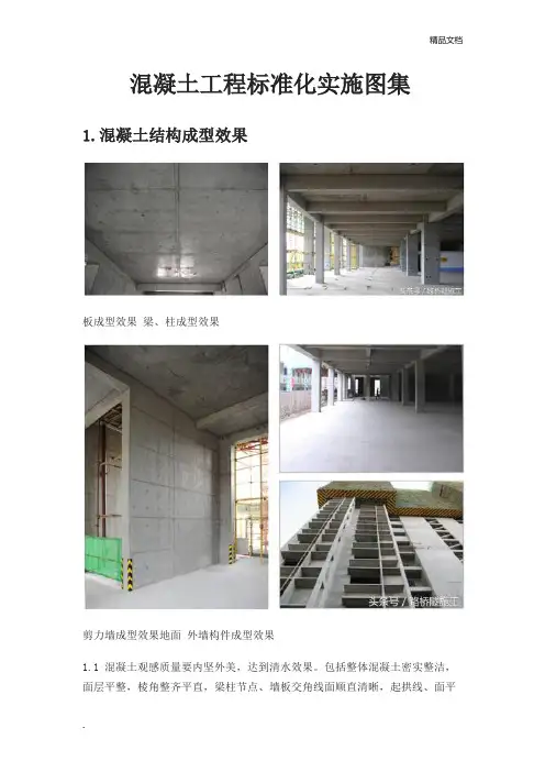 混凝土工程标准化实施图集