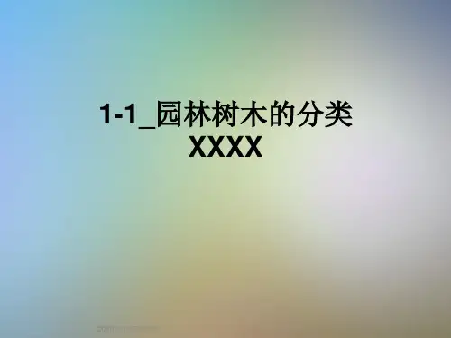 1-1_园林树木的分类XXXX