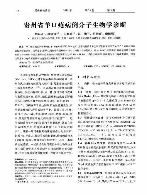 贵州省羊口疮病例分子生物学诊断