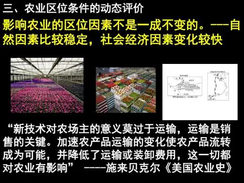 农业动态评价