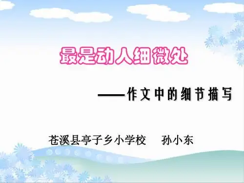 孙小东作文课 课件