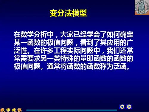 变分法模型概要