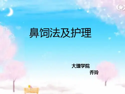鼻饲及其护理PPT课件
