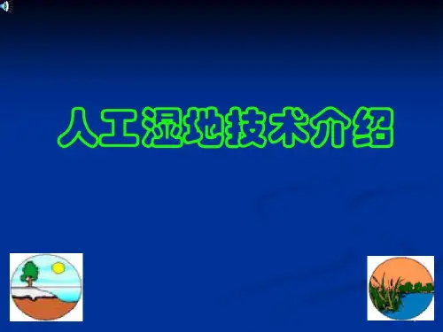 人工湿地介绍与设计30页PPT