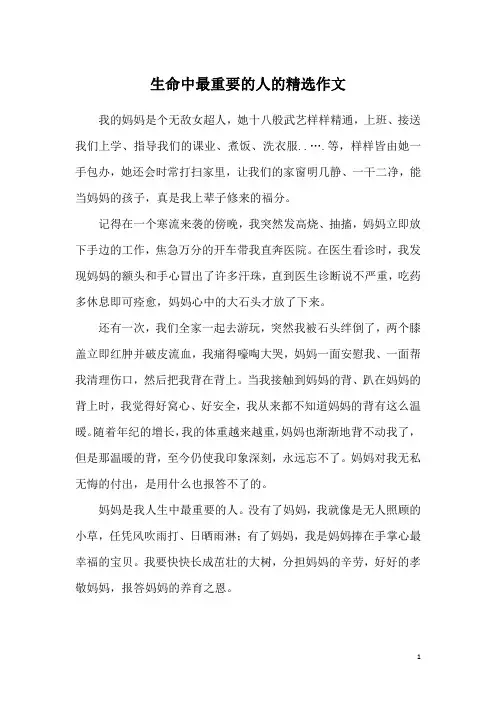 生命中最重要的人的精选作文